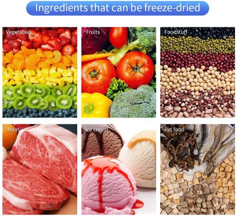 food freeze dried