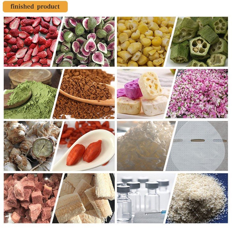 5 freeze dried products