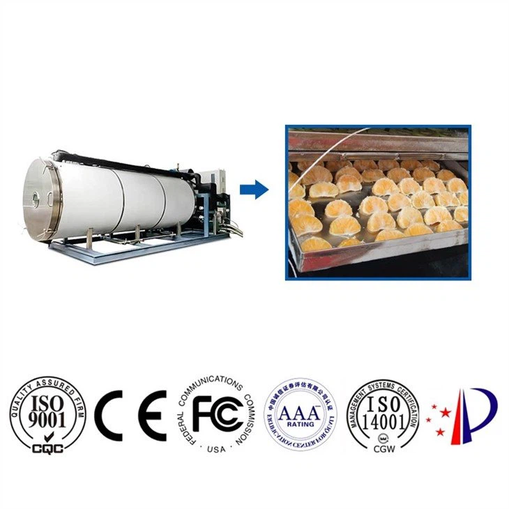 lyophilizer for sale
