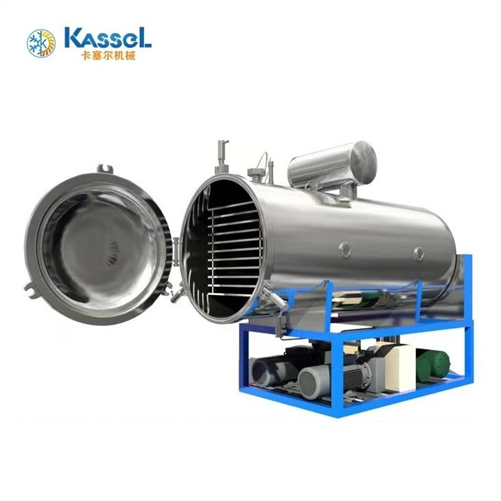 Industrial Freeze Dryer manufacturers