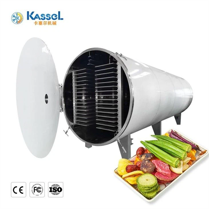  Vacuum Freeze Dryer manufacturers